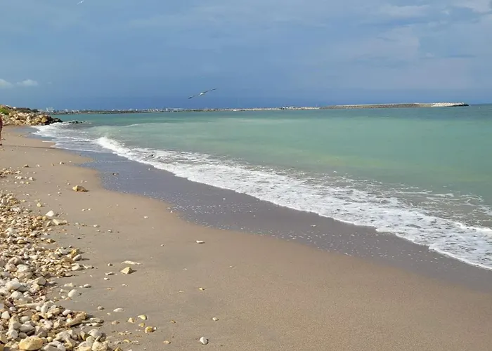 Cozy Place By The Sea * Constanţa